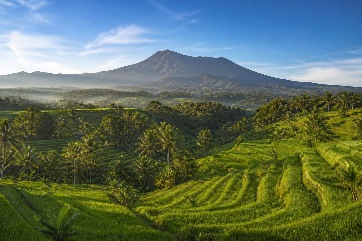 Tetebatu Rice Terraces, Lombok